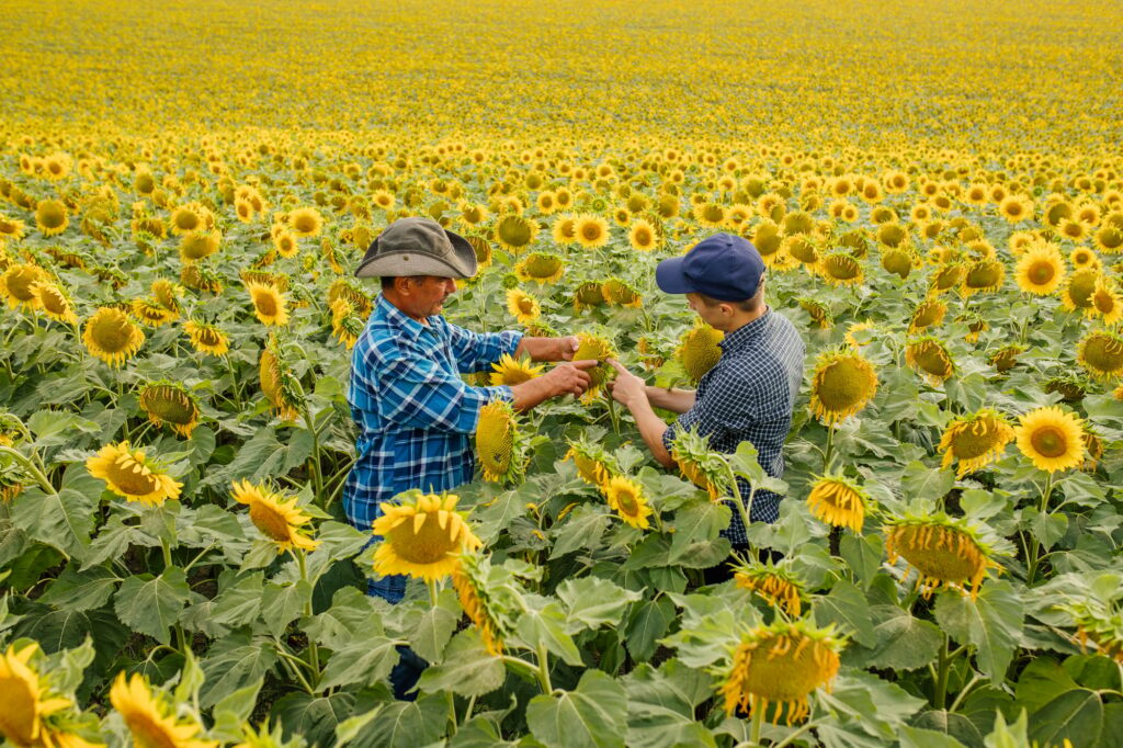 Innovative Agricultural Business Ideas for Sustainable Success